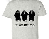 Kids Tee Children Baby Toddler Boy Girl T-Shirt Onesie Funny - It wasn't Me - Boutique Quality Clothing