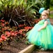 Full Length Tutu Rose Dress NB to 3t Choose Your Colors