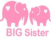 Big Sister or Little Sister - Iron on