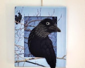 Jackdaw Brooch with Wall Mountable Box Frame