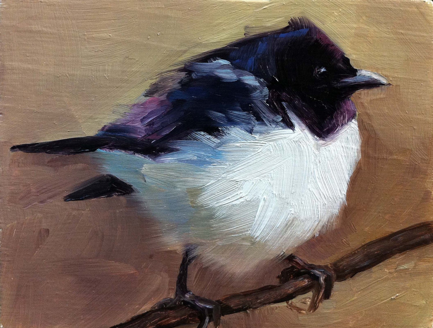 Violet-backed Starling - Bird Painting - Open Edition Print