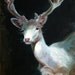 White Stag II - Oil Painting - Limited Edition Print
