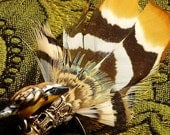 Golden oriole Brooch