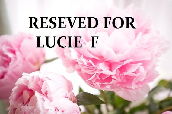 RESERVED FOR LUCIE