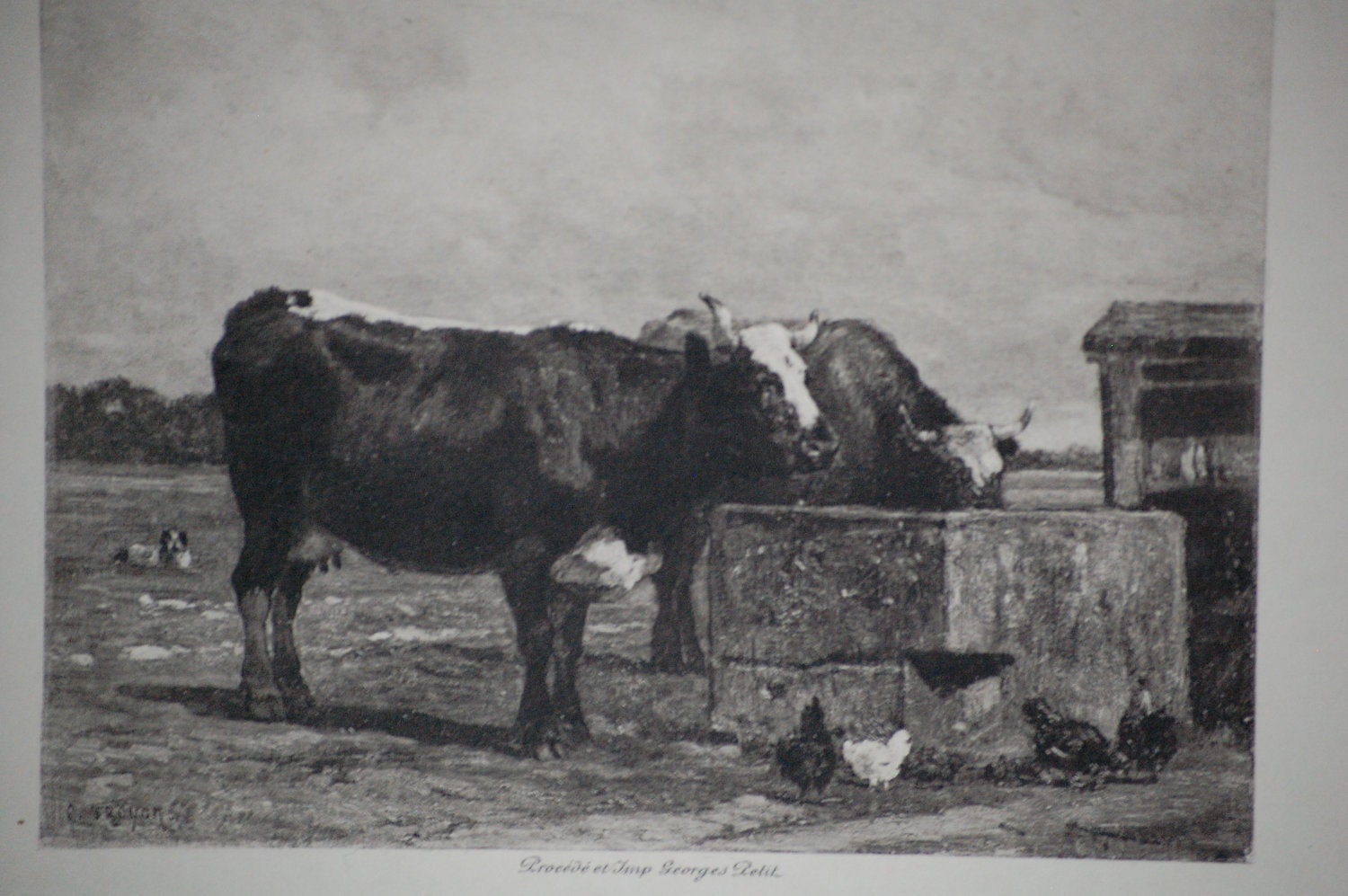 Antique Cattle Print, Troyon