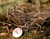 Peace Nest: 5x7 Matted Photographic Print