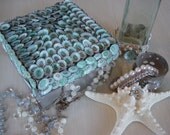Beach Decor, Seashell Decor, Shell Box, Coastal Silver Limpet Shell Storage Box