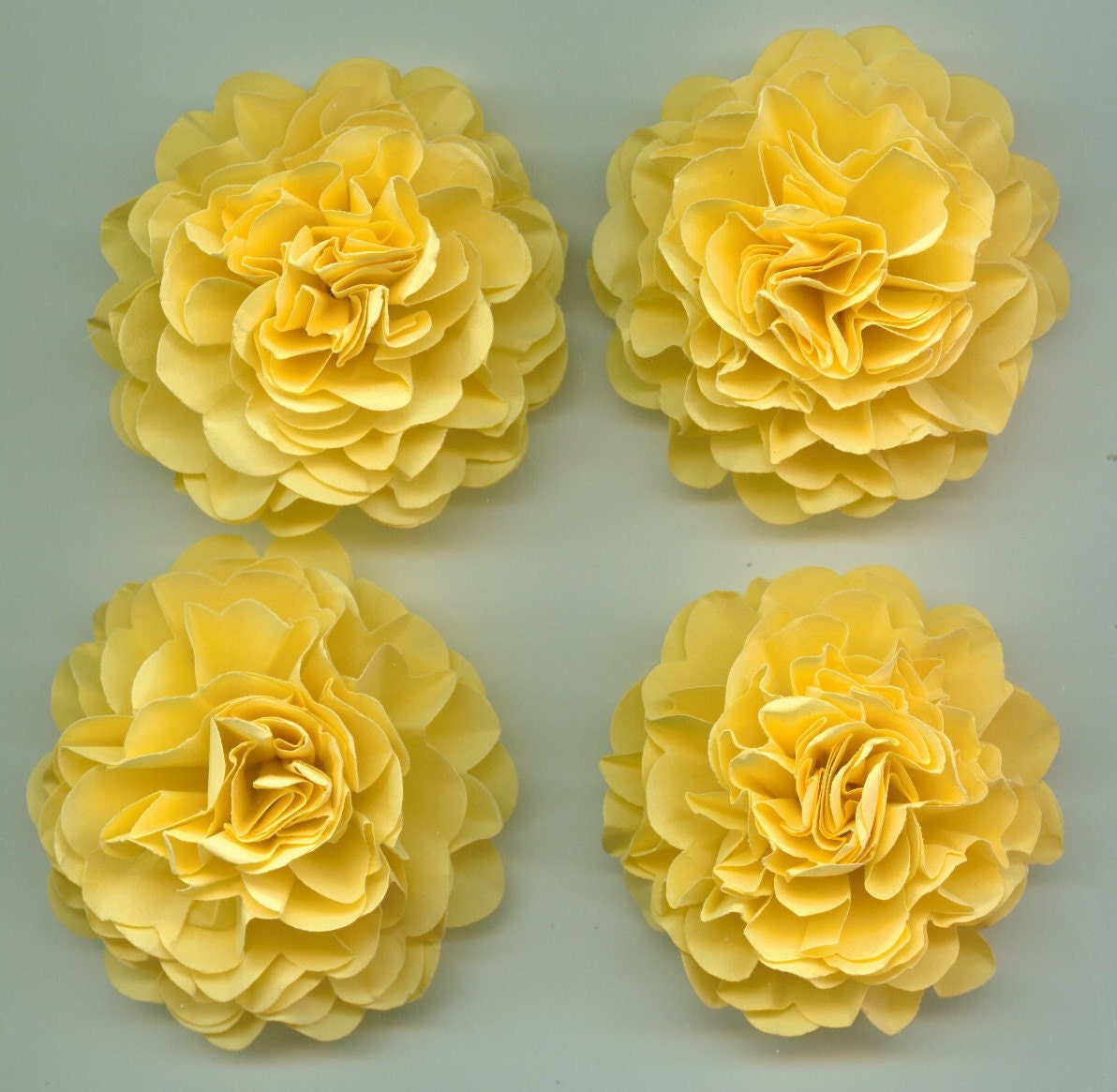 Carnations Yellow