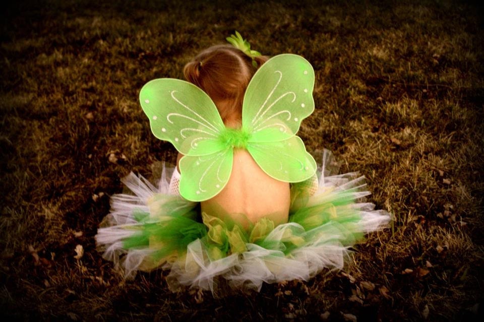 Flower Girl, Birthday Tutu and Wing Set