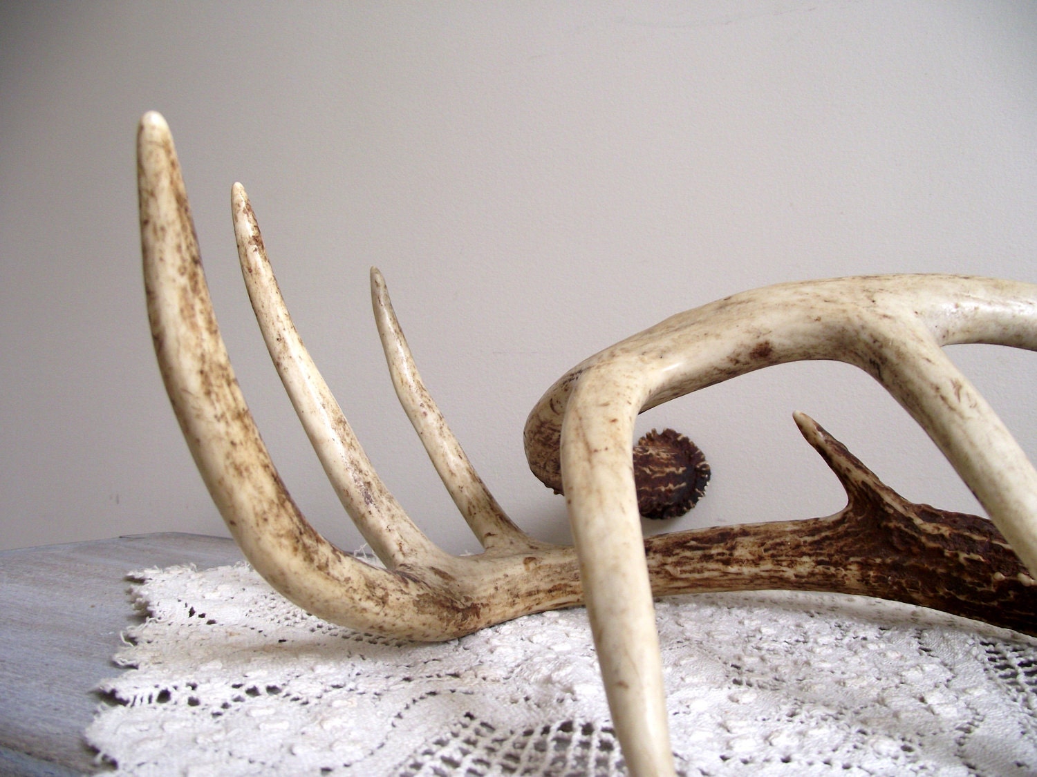 Reserve listing for 3littletrees Only Deer Antlers Vintage Matching Pair Woodland Cabin Cottage Decor Natural Rustic Decor
