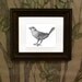 8x10 Giclee Print Sparrow Pencil Illustration