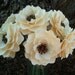 Paper Flowers - Wedding Flowers - Handmade - Stemmed - Custom Orders - Wide Variety Of Colors -Set of 10