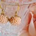 Coral Lovely Earrings