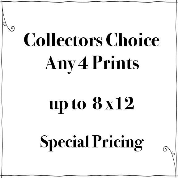 SALE - Any Four Prints -  Up to 8 x 12 -  Fine Art Travel Photography  - Story Wall - Home Decor - special pricing