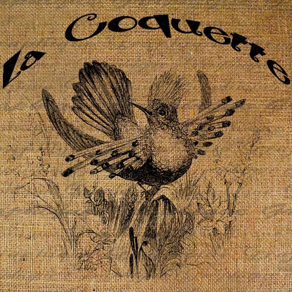 French Text The Flirt Bird Birds Digital Image Download Transfer For Pillows Totes Tea Towels Burlap No. 1369