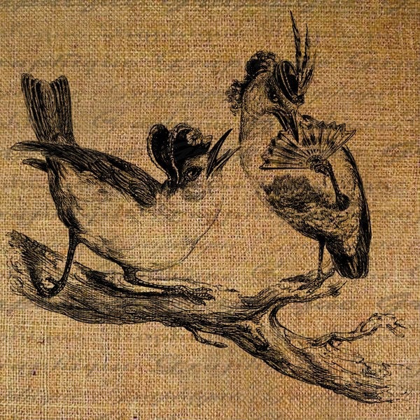 Fancy Bird Birds Fan Hats Digital Image Download Transfer For Pillows Totes Tea Towels Burlap No. 1395