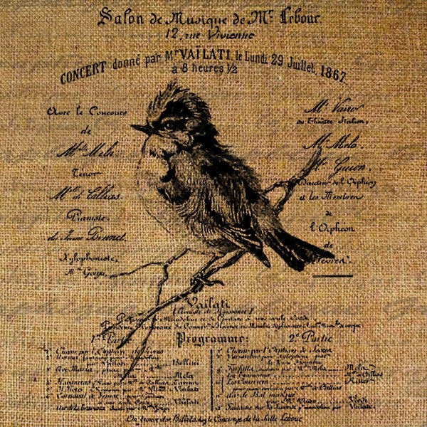 French Script Salon De Musique Bird Birds Digital Image Download Sheet Transfer To Pillows Totes Tea Towels Burlap No. 1581