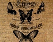 French Text Script Writing Butterflies Butterfly Digital Image Download Transfer For Pillows Totes Tea Towels Burlap No. 2114