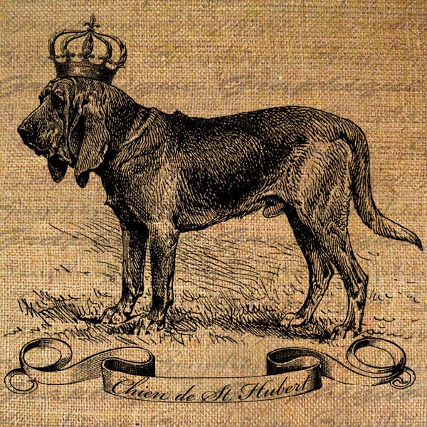 Chien de St Hubert FRENCH Text Dog HOUND Digital Collage Sheet Download Burlap Fabric Transfer Iron On Pillows Totes Tea Towels No. 3635