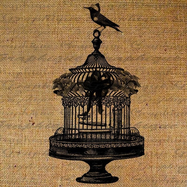 Bird Cage Decorated Bird Santa Hat Christmas Xmas Digital Image Download Transfer Pillows Tote Tea Towels Burlap No. 1401