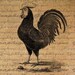 French Rooster Bird Digital Image Download Transfer To Pillows Totes Tea Towels Burlap No.1843