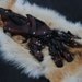 Epic Leather Modular Armor: Dragon Slayers Bastion - Upper Portion
