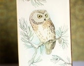 Vintage Owl Decor Print Laminate Resin Woodland