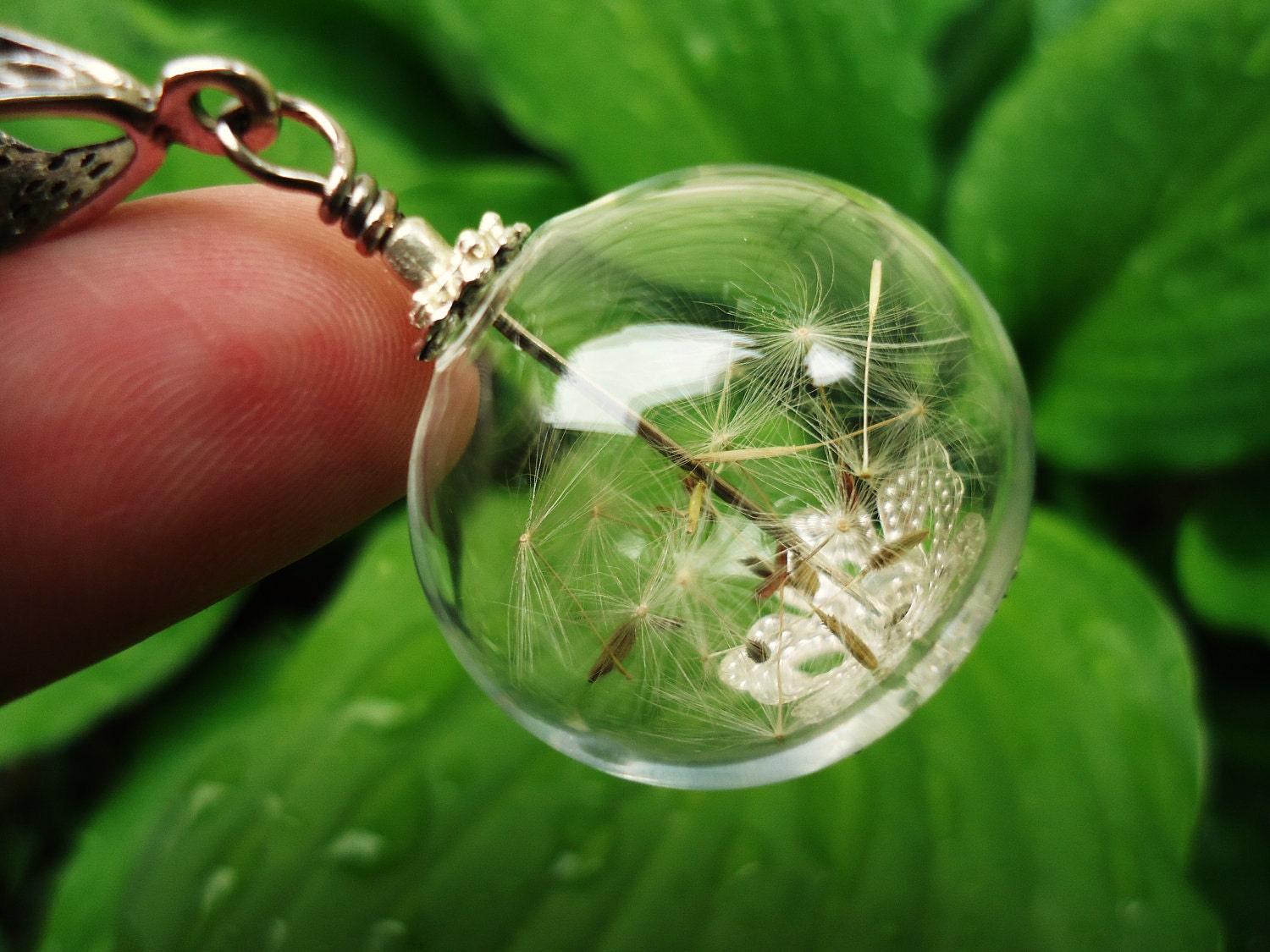 Real Dandelion Seed Glass Orb Necklace In Silver Medium Orb