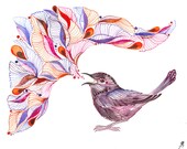 3 for 2 SALE Singing Wren - watercolor bird art print, size 7x5