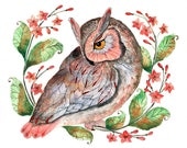 Daydreaming - (owl and flowers) bird watercolor art print, size 10x8, LIMITED EDITION 13/100 (No.42)