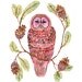 Original watercolor 8x10 pinecone owl