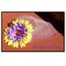 Purple Gold flower  Alligator hair Clip black friday cyber monday