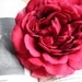 5 pc set, Wedding Hair Flower and Veil Red Rose, wedding accessory - JESS -