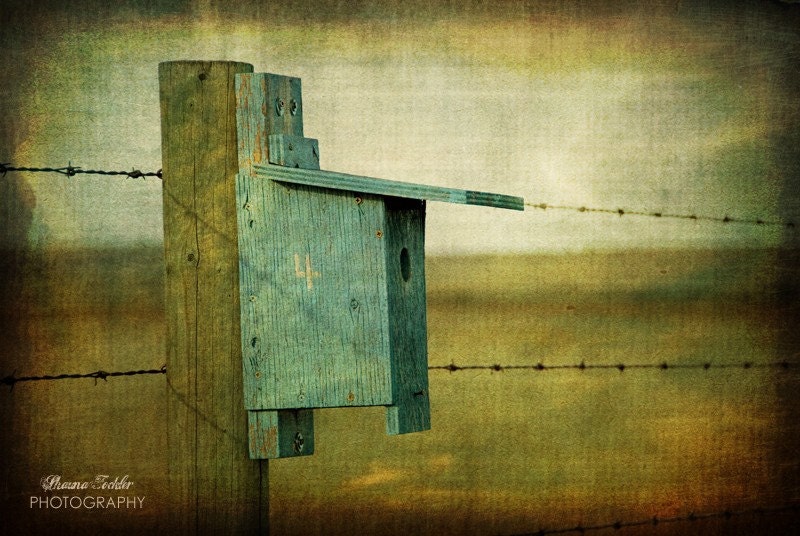 Home Sweet Home  12x18 Fine Art Photo