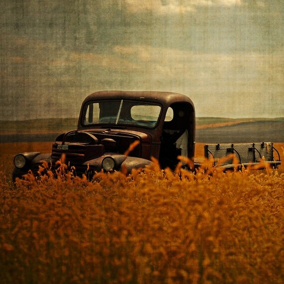 Golden Prairies 8x8 Fine Art Photo