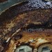 Unplugged - urban decay fine art giclee print