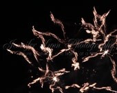 black rose gold bronze sparkle 4th of July / 8x10 Fine Art Photograph / Fireworks n6