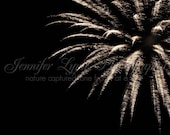 black silver 4th of July sparkle / 8x10 Fine Art Photograph / Fireworks n10