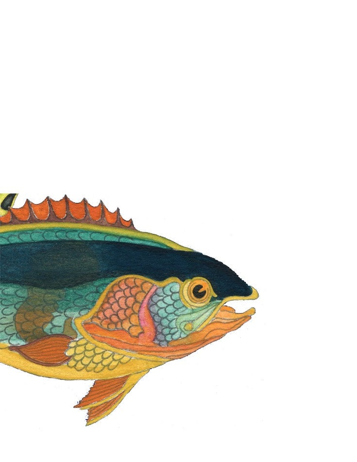 One Fish - Fine Art Print of an original gouache painting