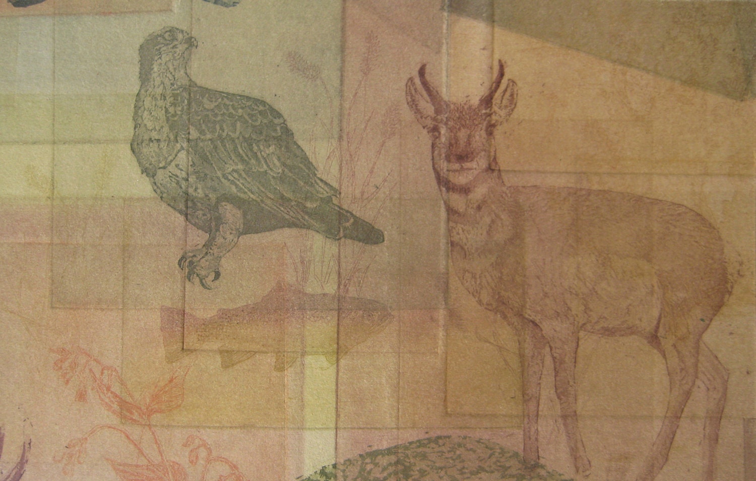 Pronghorn, Osprey and Cutthroat Trout One-of-a-Kind Etching Card
