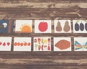 Artist Rendition of Eric Carle's Very Hungry Caterpillar- Set of 10, 8x10 canvases