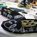 Elephant TOMS Shoes