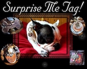 Surprise Me Tag........ A custom unique one of kind Pet ID Tag for your furkid (1")