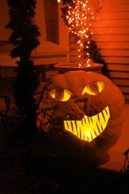 PUMPKIN TEETH 1 package Large Fang(8 LG pcs)