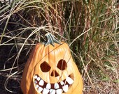 1 Package small Pumpkin Teeth  "Buckteeth" (16pcs)