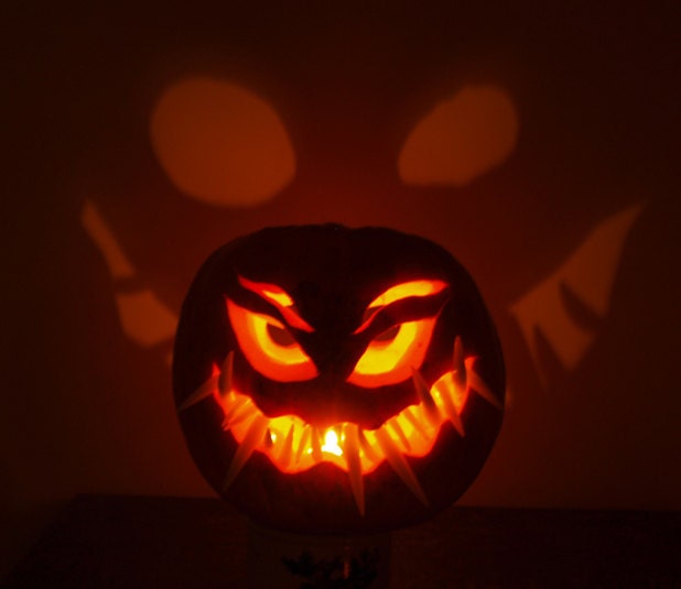 PUMPKIN TEETH 1 package Small Fangs (16 pcs)
