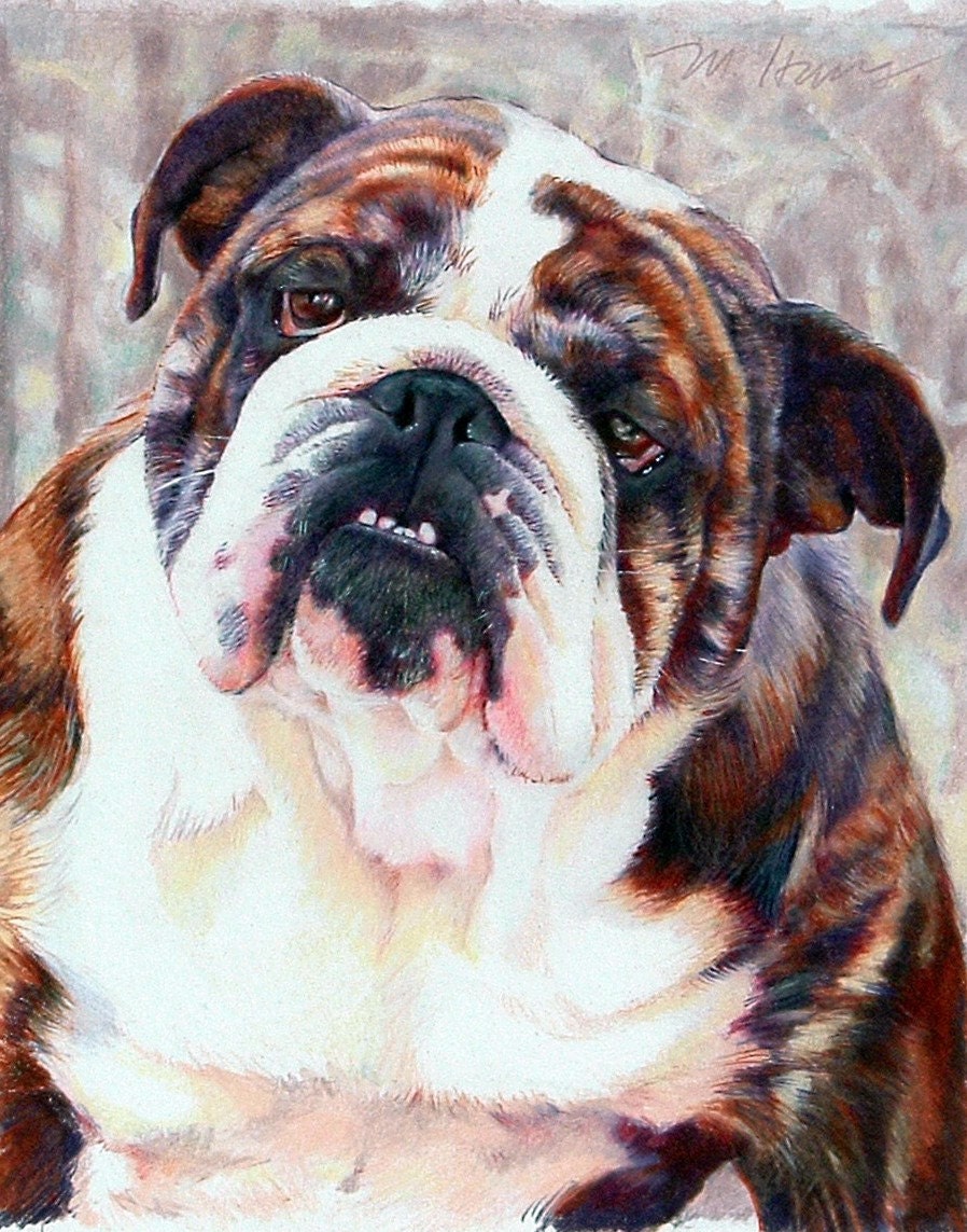 English Bulldogs, French Bulldog and Rottweiler, various matted Giclee prints
