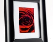 Framed Rose Print