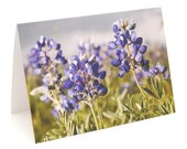 Bluebonnet Cards