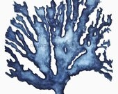 Sea Coral in Denim 11x14
